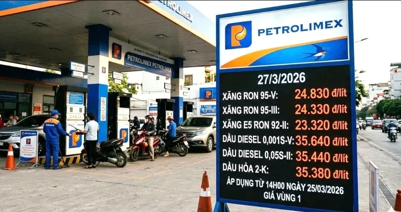 Người dùng cần đọc đúng loại dầu, vùng bán hàng và đơn vị tính để tránh nhầm lẫn khi tra giá Diesel.