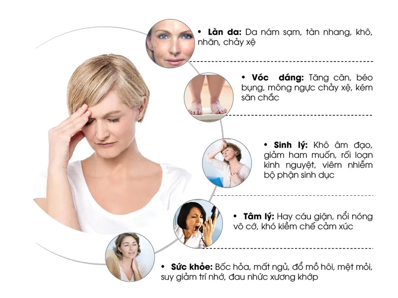 Estrogen và progesterone ảnh hưởng đến chu kỳ kinh nguyệt, làn da, xương, sinh sản và sức khỏe phụ nữ.