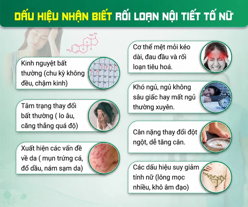 Rối loạn nội tiết có thể biểu hiện qua mệt mỏi, tăng cân, mất ngủ, mụn kéo dài, rụng tóc, tâm trạng thất thường hoặc giảm ham muốn.
