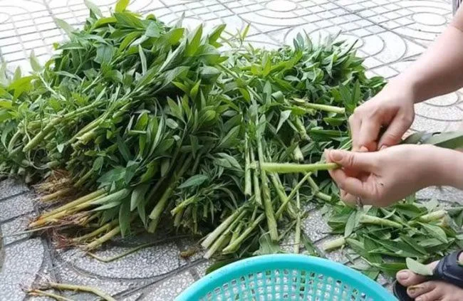bi-bong-kieng-an-gi-de-nhanh-khoi-mn